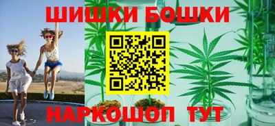 Альфа ПВП Будённовск