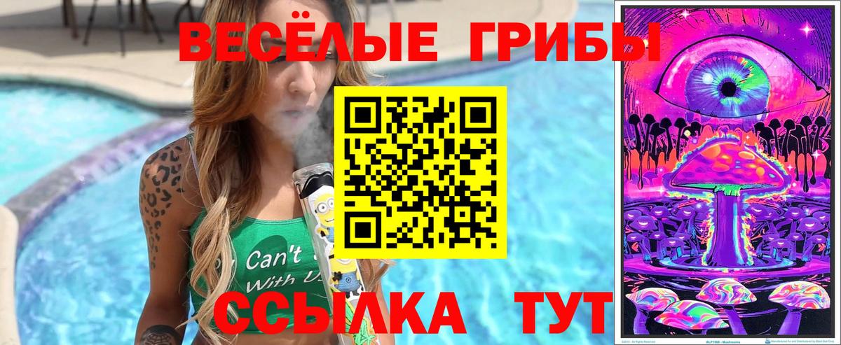 Усть-Илимск  Галлюциногенные грибы Cubensis  Псилоцибиновые грибы Cubensis  Вход с VPN 