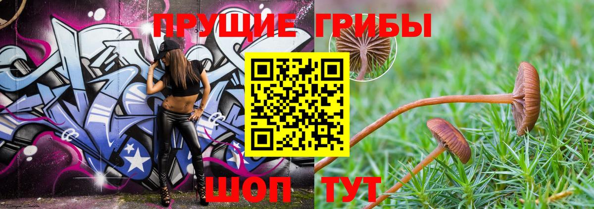 Псилоцибиновые грибы мухоморы Усть-Илимск